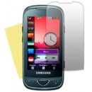 Samsung S5560 - Защитная пленка